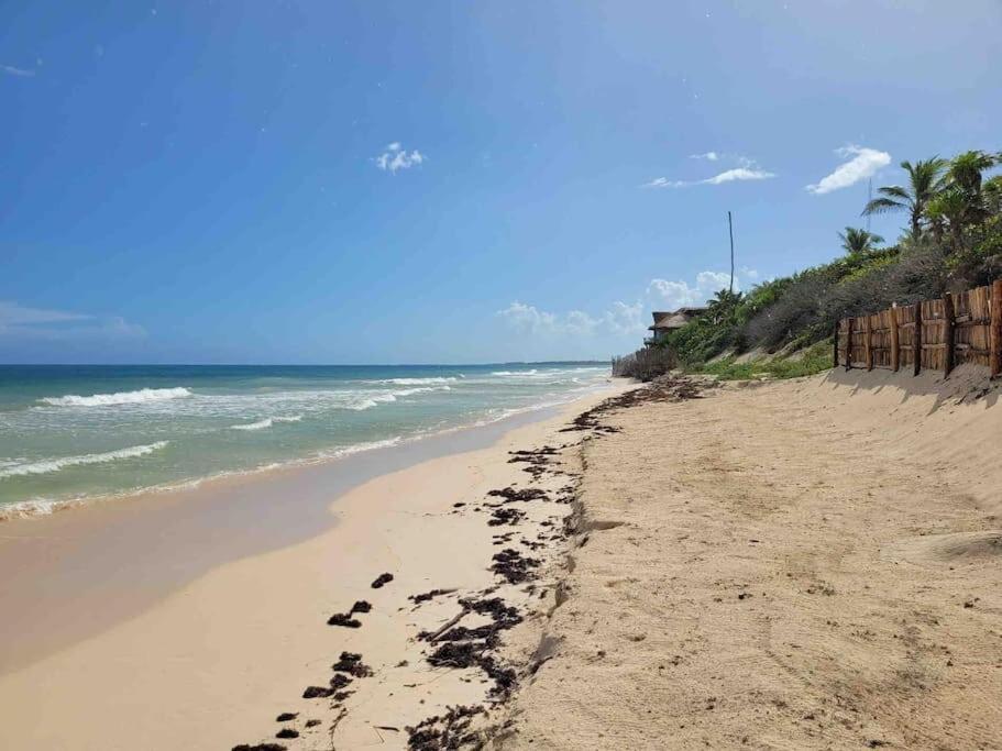 Luxury 5-Br Beachfront Home In Tulum Casa Sofia Gato Esterno foto