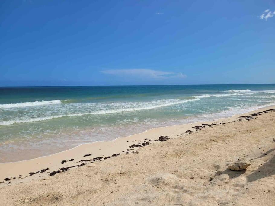 Luxury 5-Br Beachfront Home In Tulum Casa Sofia Gato Esterno foto