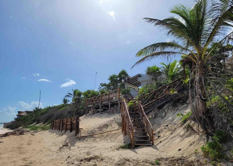 Luxury 5-Br Beachfront Home In Tulum Casa Sofia Gato Esterno foto